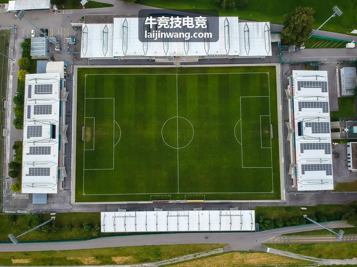 牛竞技电竞战绩全公开